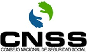 Logo Consejo Nacional de la Seguridad Social